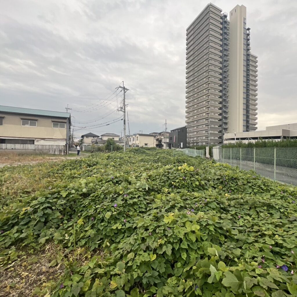 堺市東区南野田